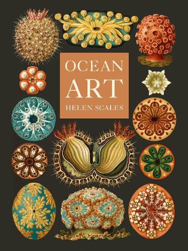 Cover image for Ocean Art