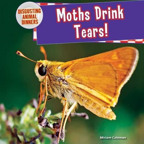 Moths Drink Tears!