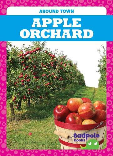 Cover image for Apple Orchard