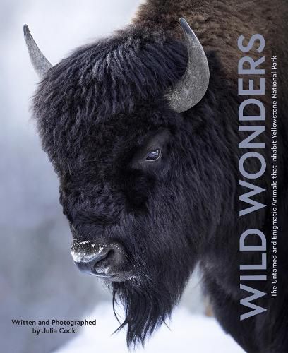 Cover image for Wild Wonders