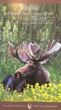 Cover image for Wildlife of Grand Teton National Park