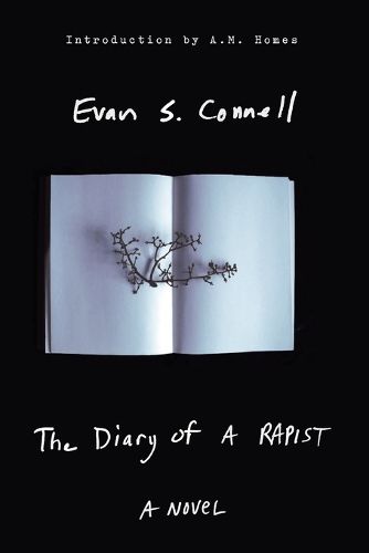 Cover image for The Diary of a Rapist: A Novel