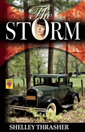 Cover image for The Storm