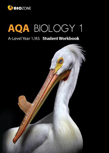Cover image for AQA Biology 1 A-Level 1/AS: Student Workbook