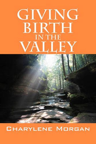 Cover image for Giving Birth in the Valley