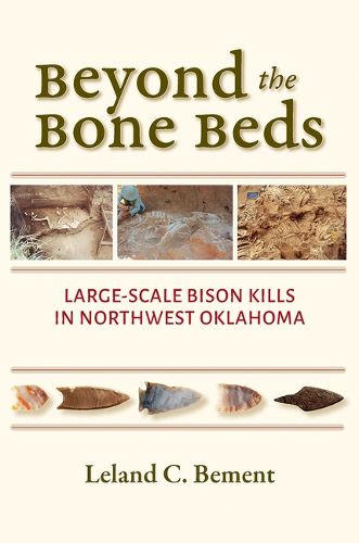Cover image for Beyond the Bone Beds