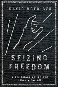 Cover image for Seizing Freedom: Slave Emancipation and Liberty for All