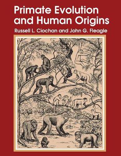 Cover image for Primate Evolution and Human Origins