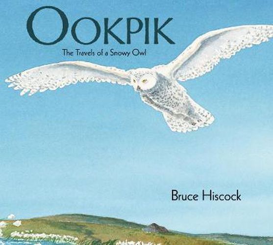 Cover image for Ookpik: The Travels of a Snowy Owl