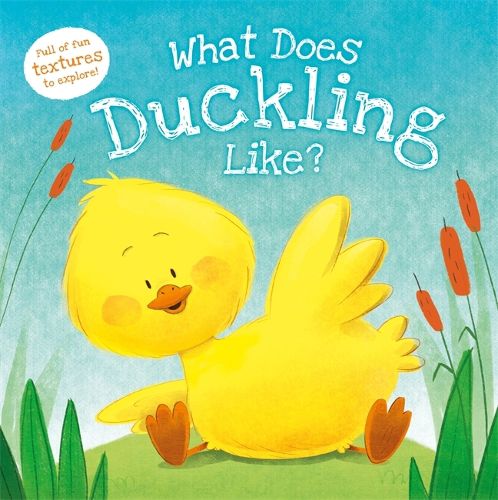 Cover image for What Does Duckling Like?