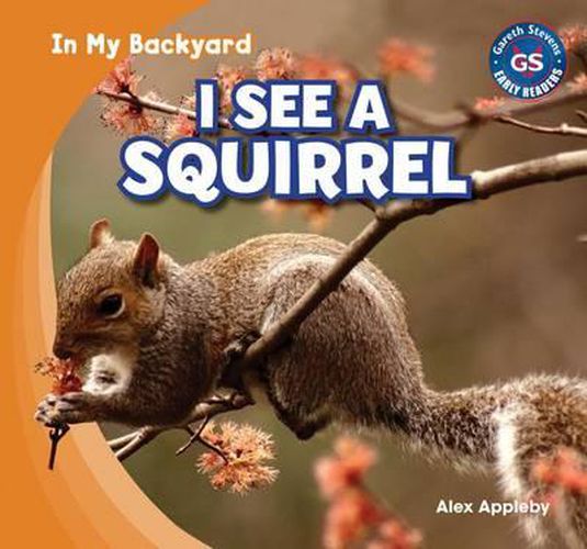 Cover image for I See a Squirrel