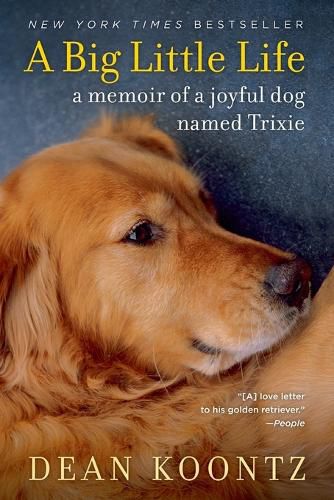Cover image for A Big Little Life: A Memoir of a Joyful Dog Named Trixie