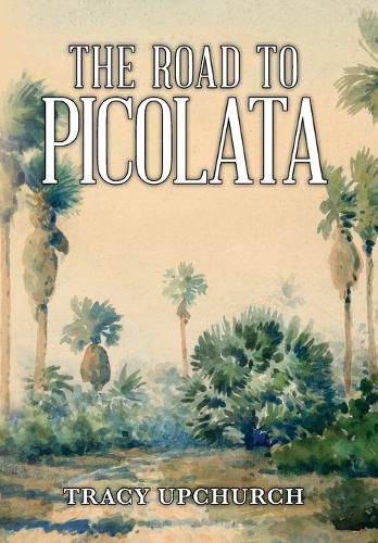 Cover image for The Road to Picolata