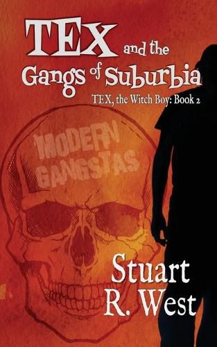 Cover image for Tex and the Gangs of Suburbia