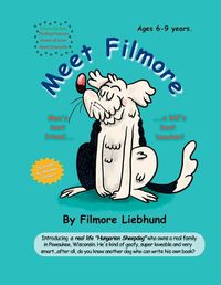 Cover image for Meet Filmore