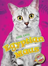 Cover image for Egyptian Maus