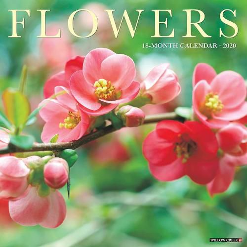Cover image for Flowers 2020 Wall Calendar