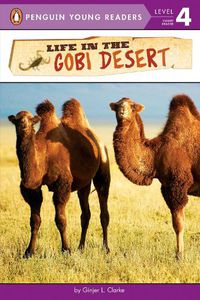 Cover image for Life in the Gobi Desert