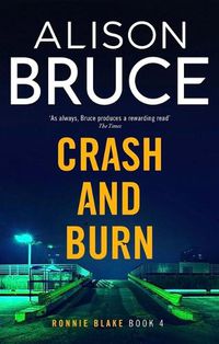 Cover image for Crash and Burn