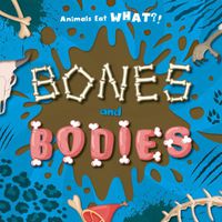 Cover image for Bones and Bodies