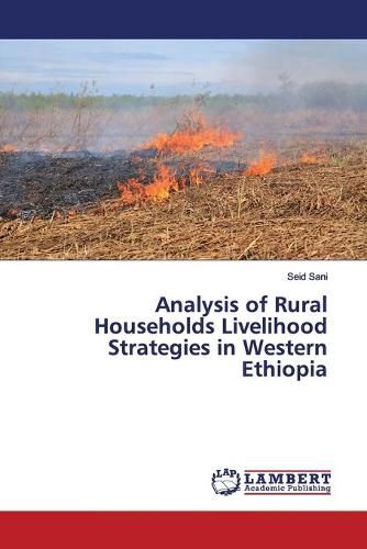 Analysis of Rural Households Livelihood Strategies in Western Ethiopia