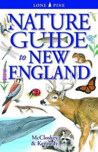 Cover image for Nature Guide to New England