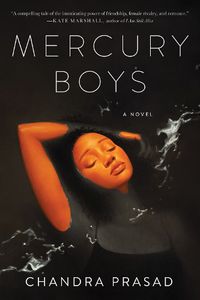 Cover image for Mercury Boys