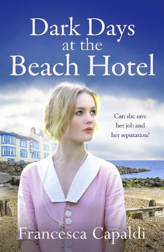 Cover image for Dark Days at the Beach Hotel