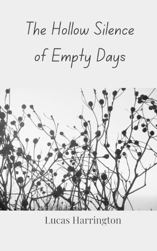 Cover image for The Hollow Silence of Empty Days