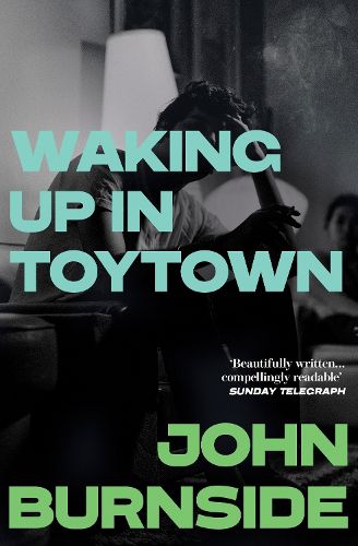 Cover image for Waking Up in Toytown