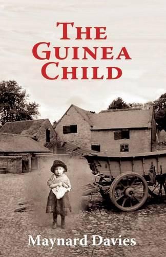 Cover image for The Guinea Child