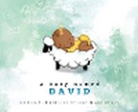 Cover image for A Baby Named David