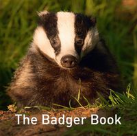 Cover image for The Badger Book