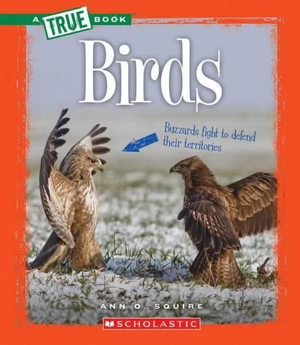 Cover image for Birds