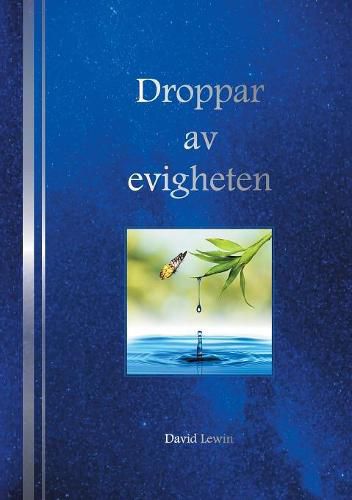 Cover image for Droppar av evigheten