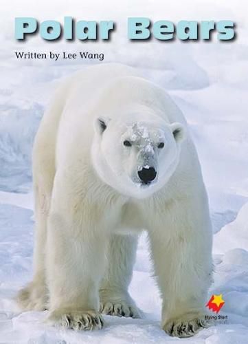 Cover image for Polar Bears