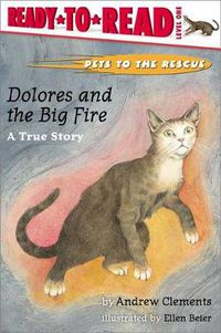 Cover image for Dolores and the Big Fire: Dolores and the Big Fire (Ready-to-Read Level 1)