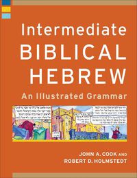 Cover image for Intermediate Biblical Hebrew: An Illustrated Grammar