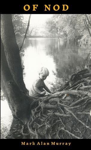 Cover image for Of Nod