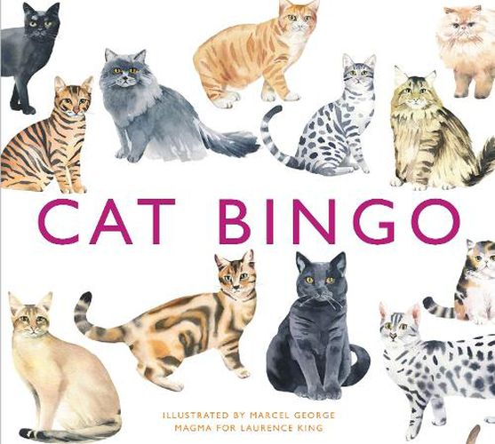 Cover image for Cat Bingo