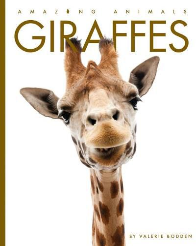 Cover image for Giraffes