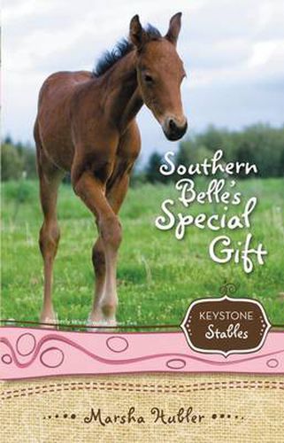 Cover image for Southern Belle's Special Gift