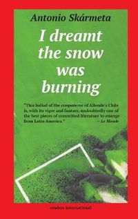 Cover image for I Dreamt the Snow Was Burning: A Novel of Chile