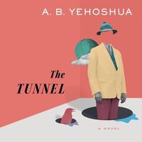 Cover image for The Tunnel