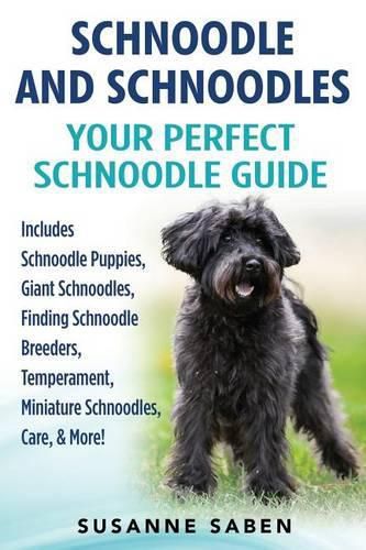 Cover image for Schnoodle And Schnoodles: Your Perfect Schnoodle Guide Includes Schnoodle Puppies, Giant Schnoodles, Finding Schnoodle Breeders, Temperament, Miniature Schnoodles, Care, & More!