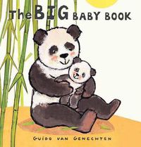 Cover image for The Big Baby Book