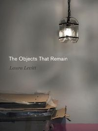 Cover image for The Objects That Remain