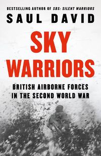 Cover image for Sky Warriors