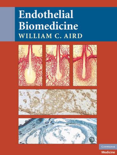 Cover image for Endothelial Biomedicine