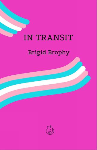 Cover image for In Transit